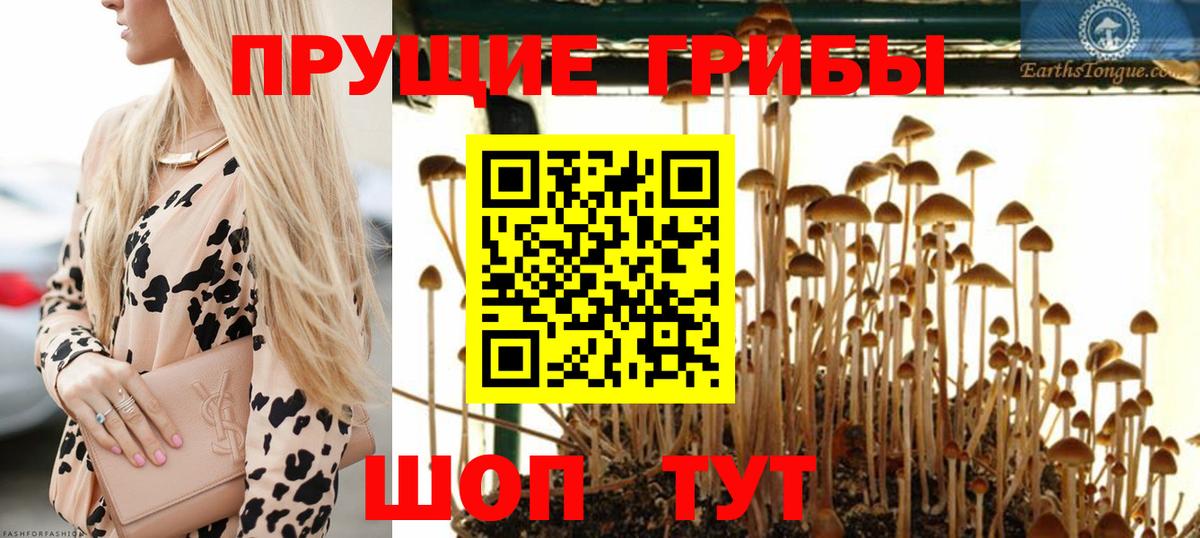 Галлюциногенные грибы Magic Shrooms  Вход с VPN  Краснокаменск 